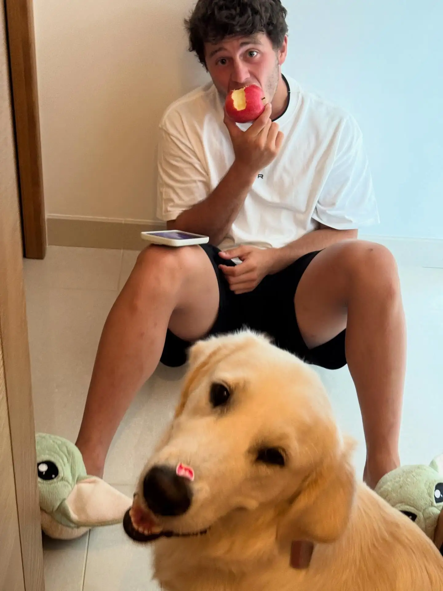 AG百家乐-内维斯女友社媒晒宠物狗照：一年前我们收养你无比正确